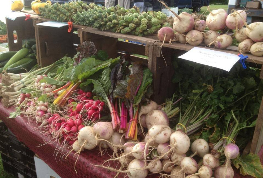 farmers-market-southbury